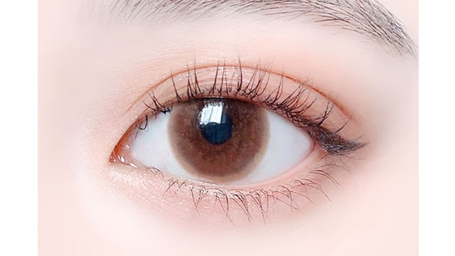 img:エルージュシアーブラウン-img2