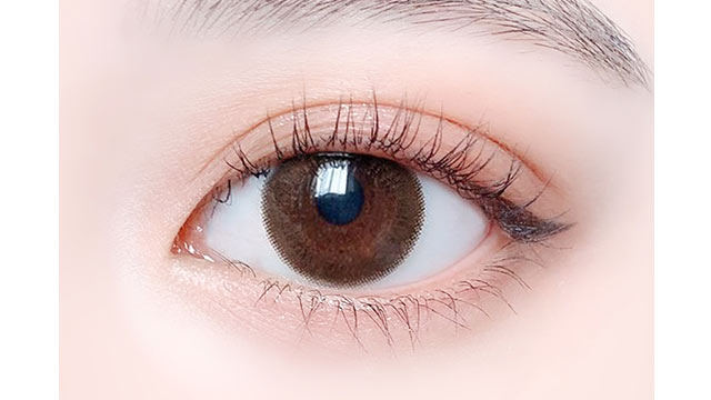 img:エルージュシックブラウン-img2