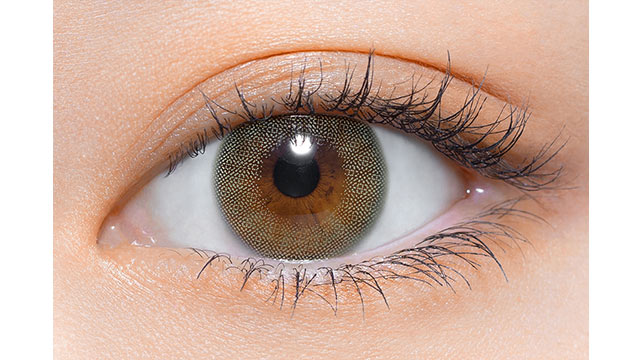 img:パース パームグリーン-img2
