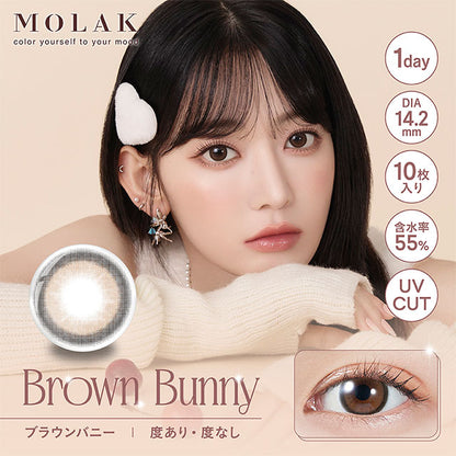 img:モラクワンデー ブラウンバニー-img1